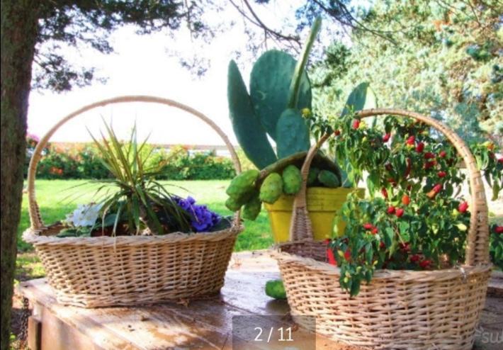 La Dimora Di Nonno Nuccio Hotel Ragusa Ngoại thất bức ảnh