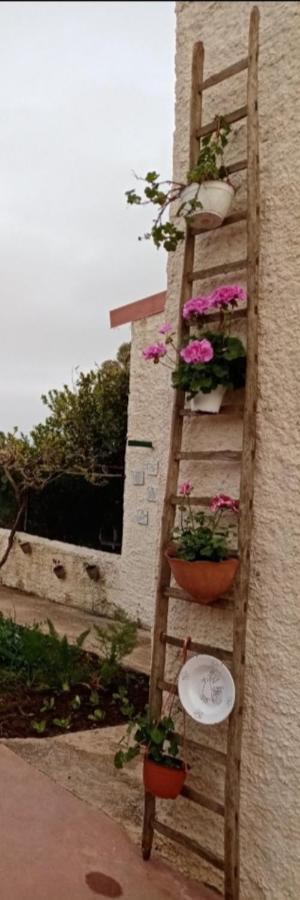 La Dimora Di Nonno Nuccio Hotel Ragusa Ngoại thất bức ảnh