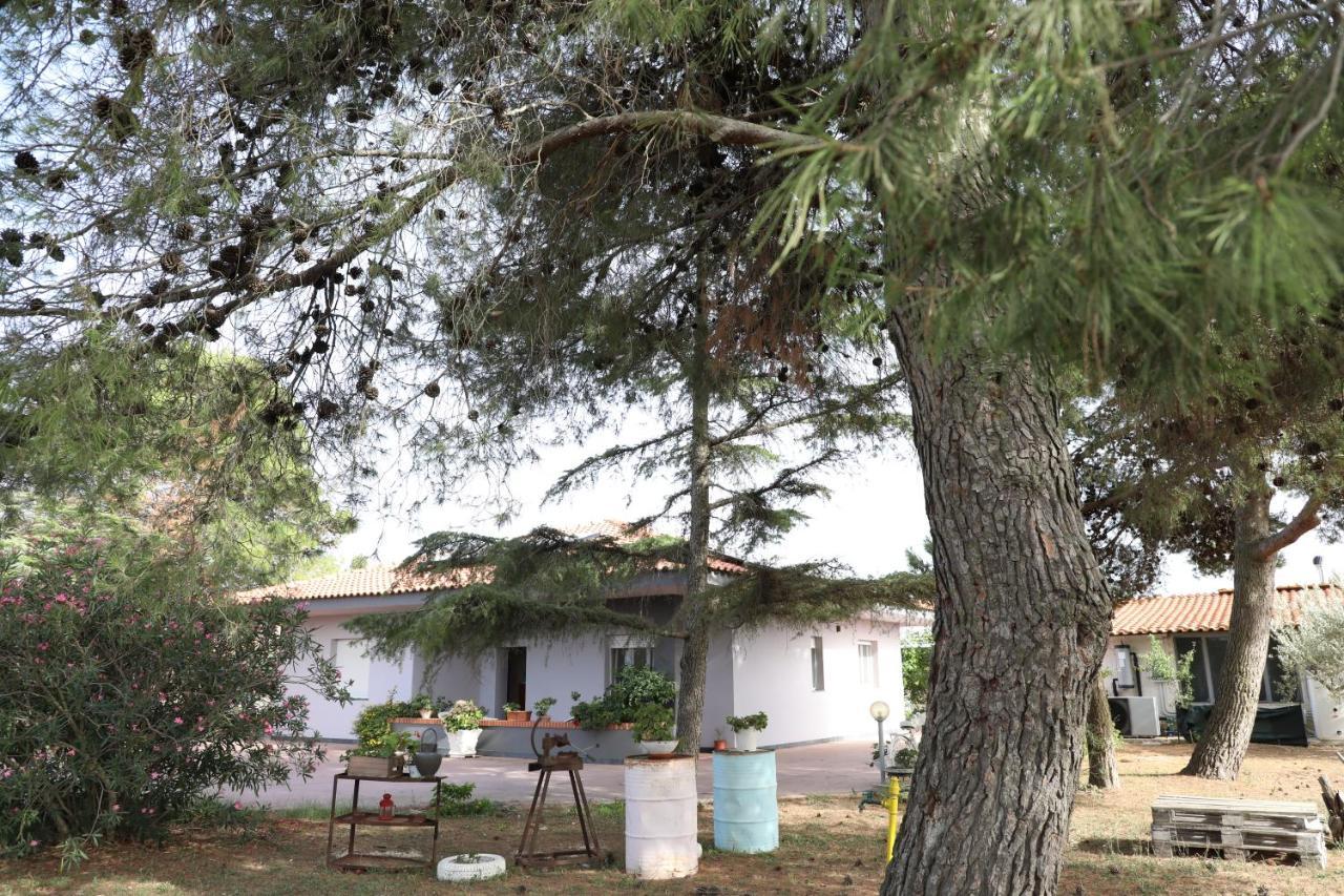 La Dimora Di Nonno Nuccio Hotel Ragusa Ngoại thất bức ảnh
